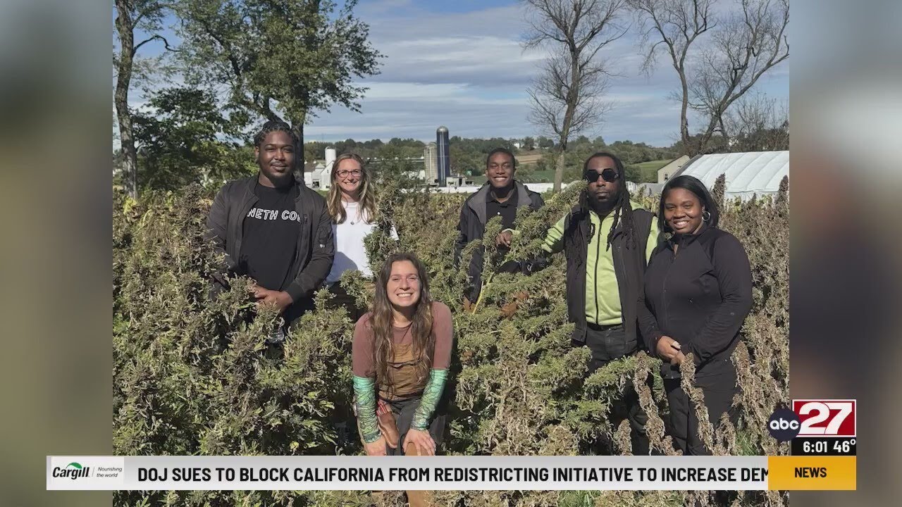 Pennsylvania growers say federal budget threatens to destroy hemp industry