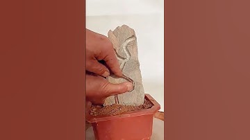 Pine tree trunk bending planting process- Good tools and machinery can increase work efficiency