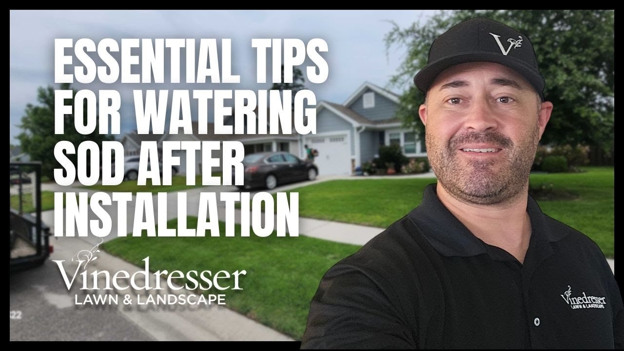 Essential Tips For Watering Sod After Installation YouTube essential-tips-for-watering-sod-after-installation-youtube