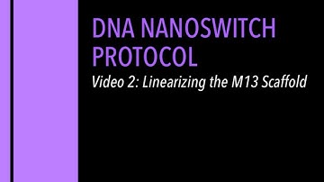 DNA Nanoswitch Protocol Video 2: Linearizing the M13 Scaffold