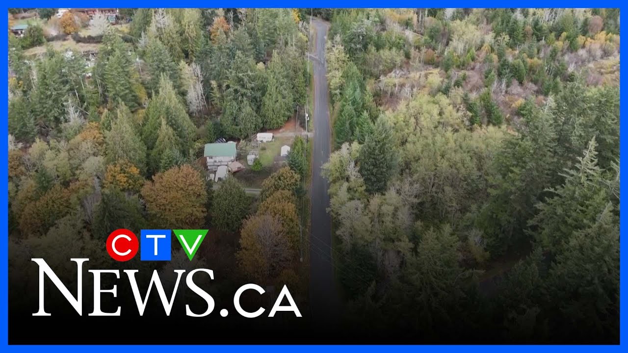 Королевская канадская конная полиция расследует убийство двух собак, одна из которых — со смертел...