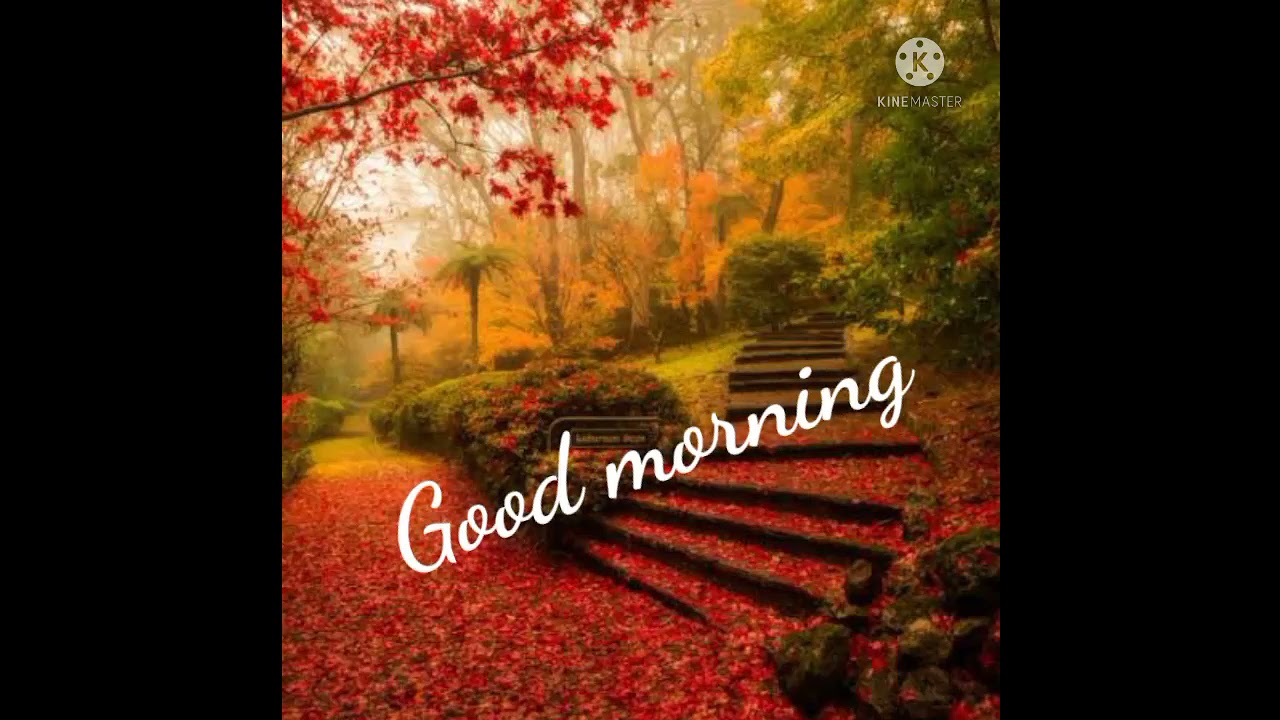 Life is a journey / New good morning whatsapp status /beautiful