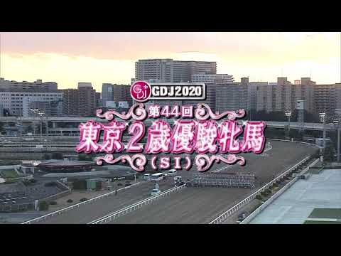 【大井競馬】東京２歳優駿牝馬2020　レース映像