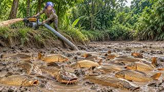 Draining This Muddy Pond Revealed Giant Catfish & Carp Hidden Under the Mud!