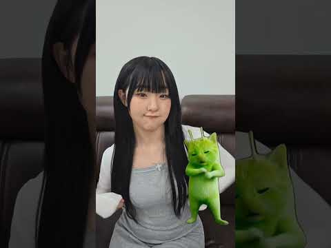 고양이 기여워