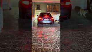 BMW 428i Fi Exhaust Cold Start🥶❄️