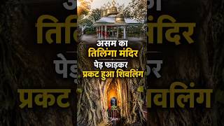 पेड़ को चीरकर निकला शिवलिंग 😨 Tilinga Temple Assam Mystery Explained