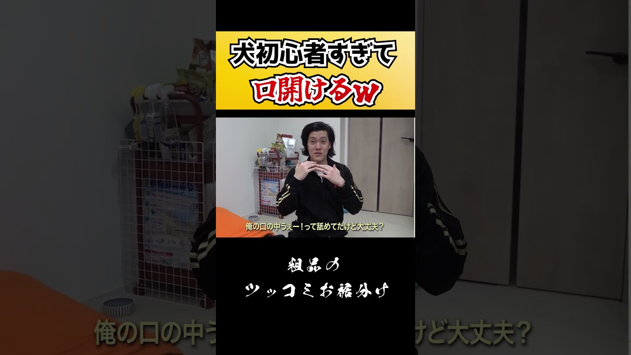 後輩の犬を盗むｗ　#ショート　#Shorts 　#お笑い 　#おすすめ 　#粗品