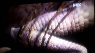 Rudi Vs T Rex Español