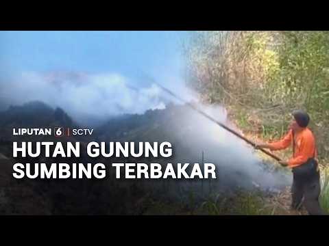 Kebakaran hutan Gunung Sumbing Meluas, Tim Pemadam Kesulitan Akibat Lereng Curam | Liputan 6