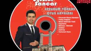 Oğuzhan Sancar - Saçımın akına bakma sultanım Resimi