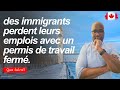 Incroyable plusieurs immigrants perdent leur permis de travail ferm au canada