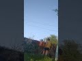 я старался