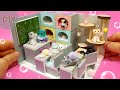 DIY Miniature animal Dollhouse  -  Cat Classroom !