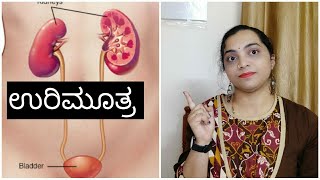 ಉರಿ ಮೂತ್ರದ ಸಮಸ್ಯೆ / Urine infection/ ಮನೆಮದ್ದು /in kannada