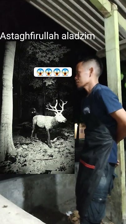 Penampakan hantu perempuan penghuni hutan larangan#shorts