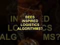 Bees Inspired Logistics Algorithms