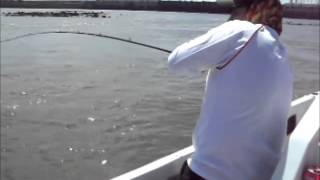 Salto Grande II screenshot 2