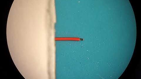 Miniscope step by step: Tutorial 3