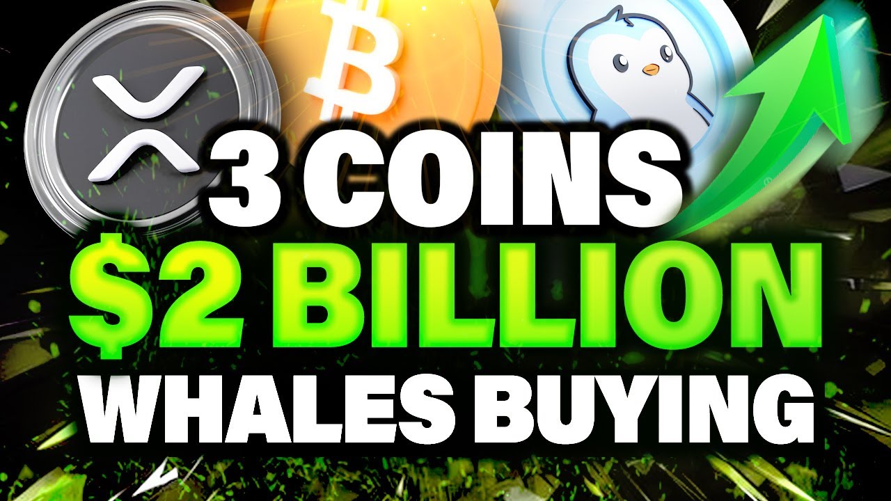 3 Coins That Crypto Whales Are Buying on the Dip!