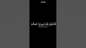 ان الذين تدعون من دون الله | كرومات شاشة سوداء القرآن الكريم | القارئ ياسر الدوسري