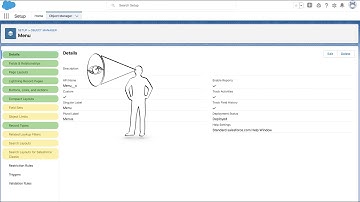Salesforce Object Limits | Field Sets | Lookup Filters | Search Layouts | Restaurant app P5
