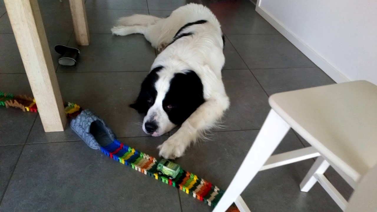 Megalang Flexi track