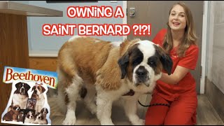 Owning a Saint Bernard?!? | What you need to know!!!