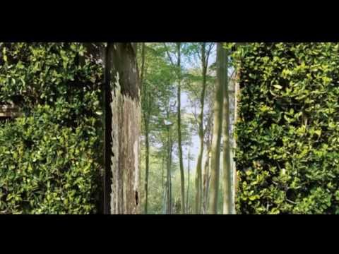 となりのトトロ　【ジブリGhibli　～癒し・リラクゼーション・休日～】