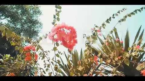 OFFICAL FRIEND DEM VIDEO(101 Music & Ent)