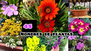 45 plant names you need to know