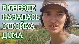 видео: Начало стройки! картинка: Начало стройки!