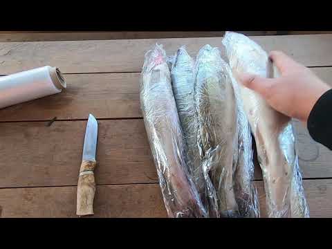 Видео: Можно ли замораживать белую рыбу?