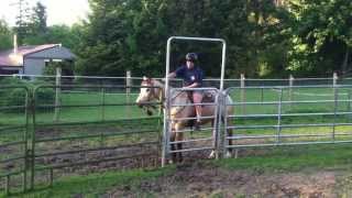 Opening, passing through & closing a gate while on my horse Petey  6/3/13