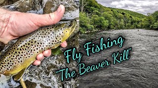 Catskills Fly Fishing "The Beaver Kill"