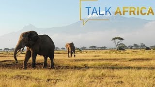 Talk Africa 06/12/2016 A borderless Africa
