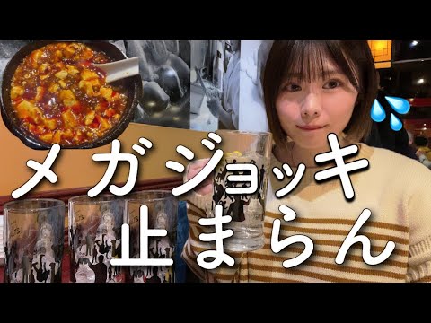 【渋谷】毎日予約数が凄い噂の中華屋に行ってみた【本格中華】