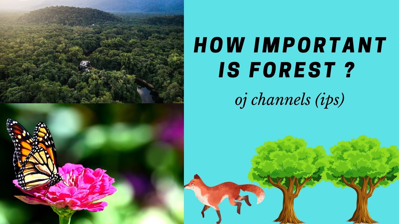 how important is forest ? OJ Channels IPS Ojasvi Chauhan YouTube