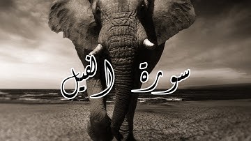 سورة الفيل | Surah Al-Fil | زكرياء اضريوي Zakaria Draiouiy