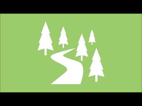 10h Waldweg Einschlafgeräusche | Keine Werbung
