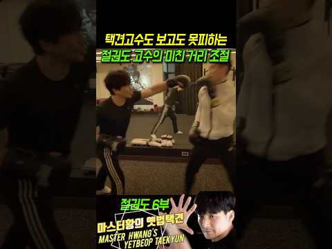 보고도 못피하는 절권도고수의 미친 거리조절 능력 thumbnail