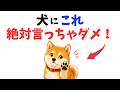 【後悔する前に】犬に絶対言ってはいけない言葉 13選