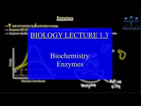 IMAT Biology Lesson 1.3 | Biochemistry | Enzymes