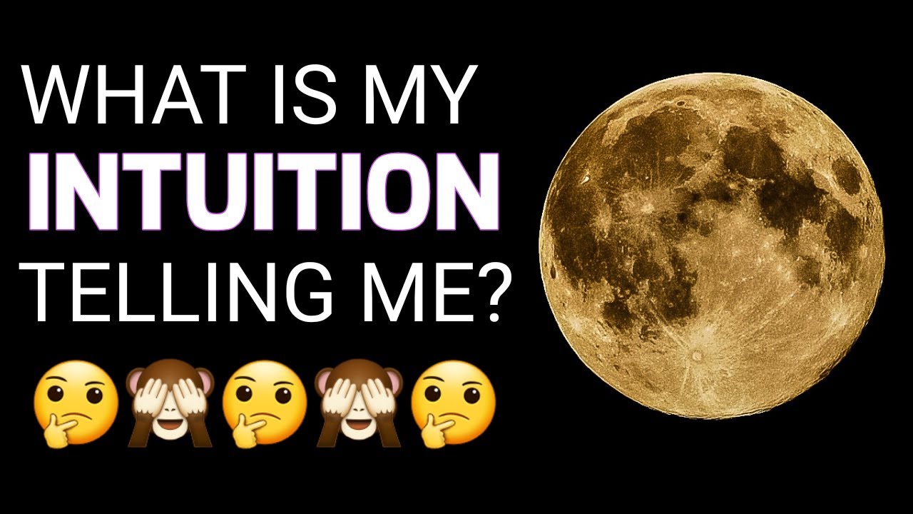 WHAT IS MY INTUITION TELLING ME? PICK-A-CARD TAROT READING (TIMELESS)