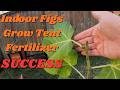 I Didn’t Expect This… Indoor Figs + Advanced Nutrients Connoisseur