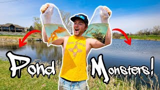 Fishing Hidden Trophy Ponds W/ World Class Fish!!! (They’re All Giant!!)