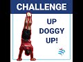 Up-Doggy-Up!