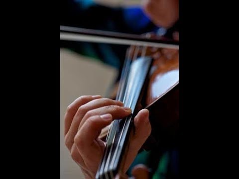 In the Viola Studio with Carol Rodland: Some Left Hand Tips