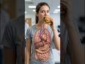 Cheeseburger Digestion Explained in 3D | Inside the Human Body 🍔#healtheducation #health