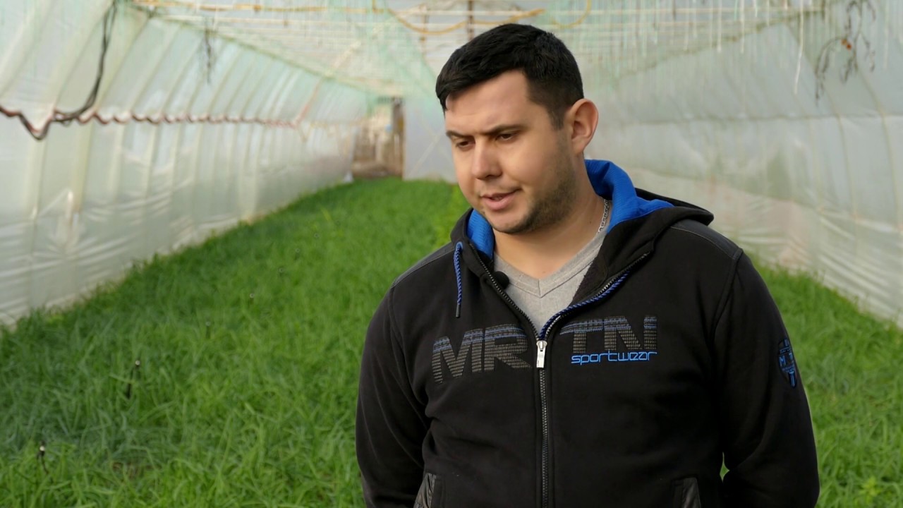 Domaćine kako radiš 02.12.2019. -  Proizvodnja mladog luka, sela Slanci i Mužlja